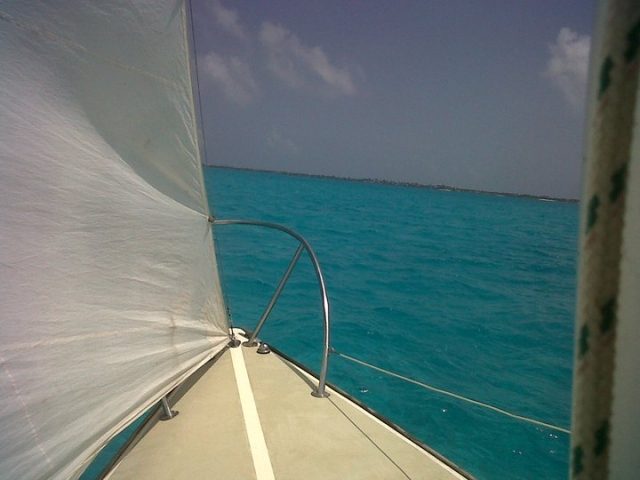 Vela